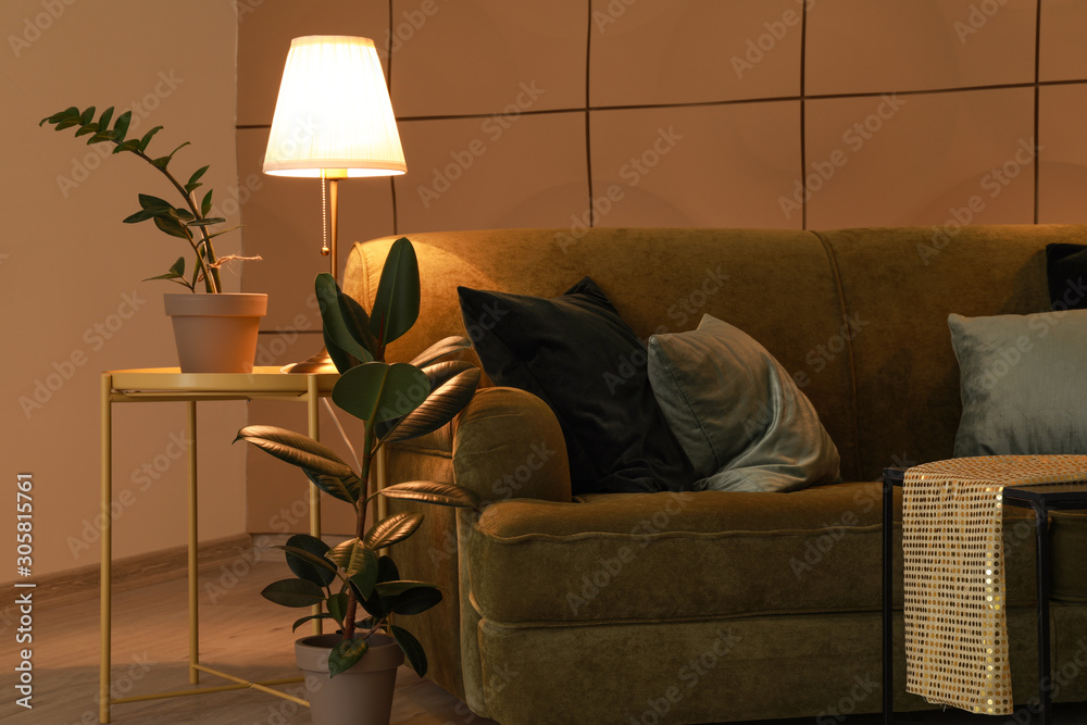 Comfortable sofa in interior of living room