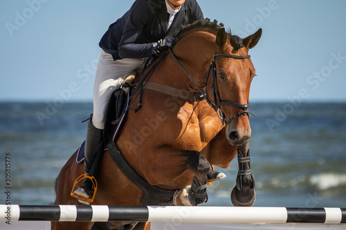Fotografía Equestrian sports jumping competition themed photo.