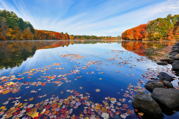 Wall Mural - Beautiful New England Fall Foliage with reflections at sunrise, Boston Massachusetts.