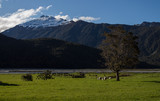 Fototapeta Sawanna - montagne enneigée au couché du soleil, en nouvelle zélande