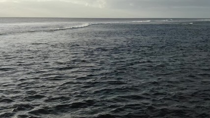 Wall Mural - discovering running ocean waves with high speed drone