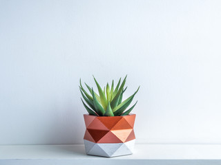 Cactus pot. Concrete pot. Modern geometric concrete planter.