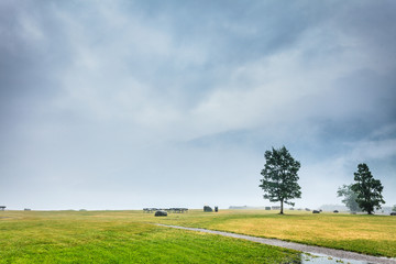 Wall Mural - Foggy summer landscape in Norway