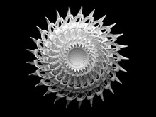 3d Render Of Abstract 3d White Matte Ceramic Kaleidoscope Flower On Black Background