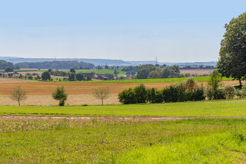 Wall Mural - rural landscape