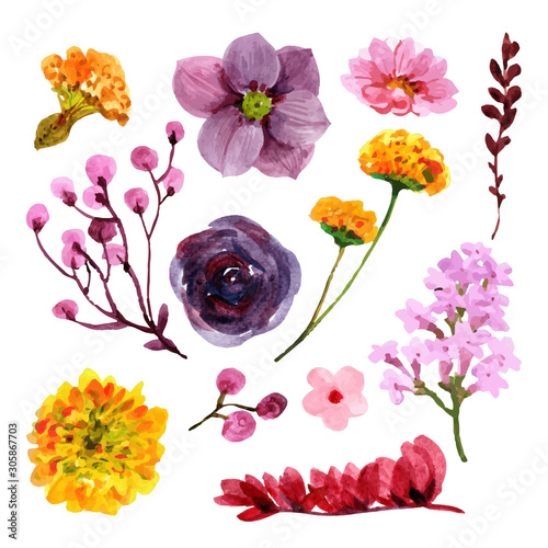 set of flowers isolated on white