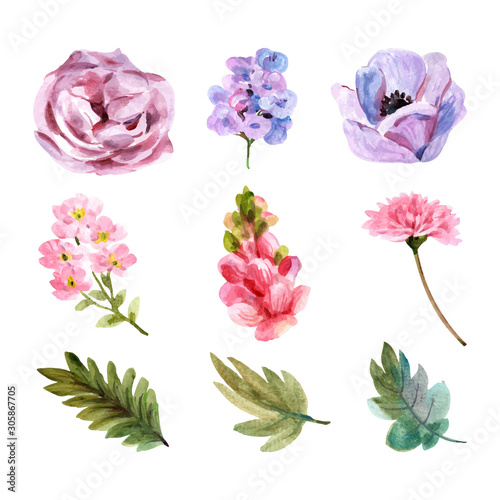 set of flowers isolated on white