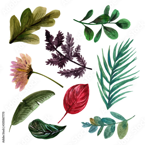 set of flowers isolated on white