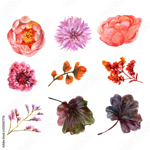 set of flowers isolated on white