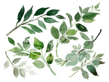 Watercolor Composition With Green Branches On A White Background