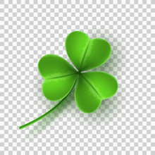 Realistic Green Clover Isolated On Transparent Background. Element For Saint Patricks Day. Vector Illustration