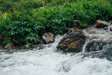 Beautiful landscape with big stones in water riffle of mountain river. Powerful water stream among boulders in mountain creek with rapids. Fast flow among rocks in highland brook. Small river close-up