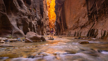 Amazing Landscape Of Canyon In Zion National Park, The Narrow