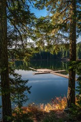 Wall Mural - vertical shot of a green scenery reflecting in the lost lake in whistler bc canada