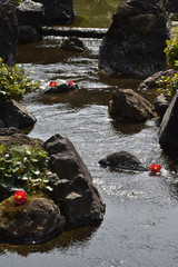 Poster - 城南宮の小川