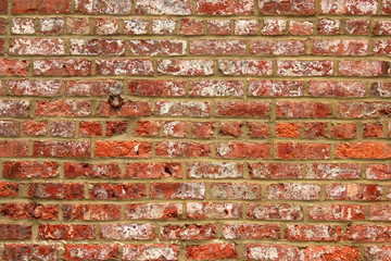 Poster - Very dirty old damaged brick wall with a lot of weathering texture