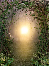 Path Through Enchanting Fairytale Deep Forest View With Beautiful Heavenly Sunset
