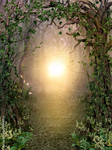 Fotografía Path through enchanting fairytale deep forest view with beautiful heavenly sunse
