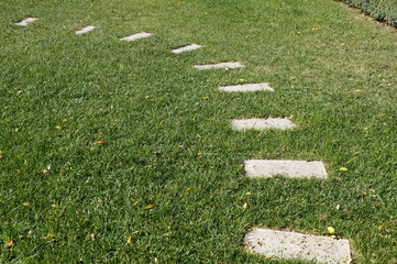 decorative stone walkway on a green lawn