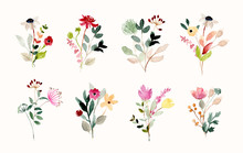 Beautiful Wild Flower Bouquet Watercolor Collection