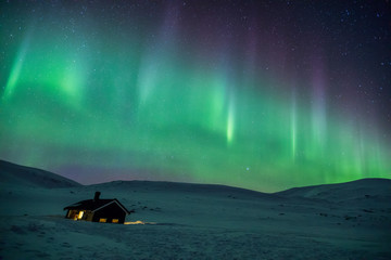 northern lights in reinheim cabin, dovrefjell national park, norway