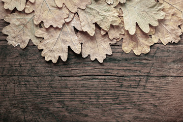  Dry fallen oak leaf. Yellow autumn oak leaves on a wooden background. Autumn concept. Top view with copy space.