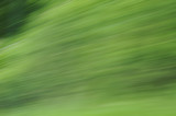 Fototapeta Sport - abstract green background motion