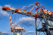 © MagioreStockStudio - Cranes in the port for unloading cargo from ships.