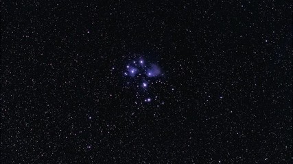 Wall Mural - a zoom-in on the pleiades star cluster in space
