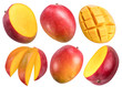 © volff - Set of mango fruits, mango cubes and slices on a white background. File contains clipping path.