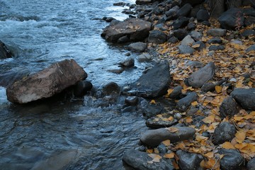 Autumn in the forest mountain stream. Beautiful autumn forest, rocks covered with moss. Mountain river with rapids and waterfalls.