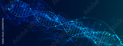 Cuadros en Lienzo Science template, abstract background with a DNA molecules