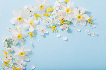 daffodils and cherry flowers on blue background background