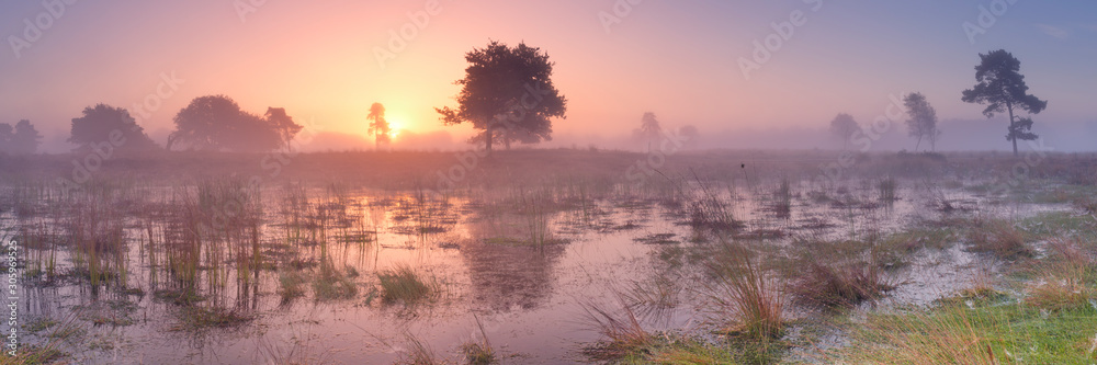 Sunrise over wetland in The Netherlands - obrazy, fototapety, plakaty 