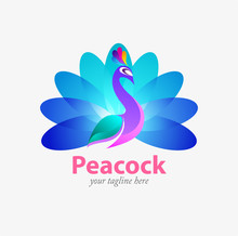 Vector Illustration Modification Of Peacock As A Symbol