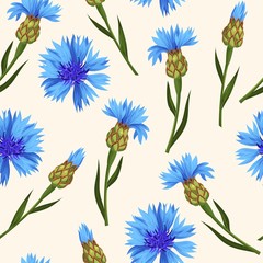 Canvas Print - Vector seamless pattern with blue corn flowers