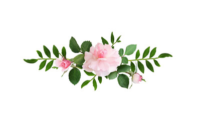 Wall Mural - pink rose flowers in a line arrangement