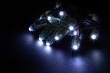 Fototapeta Kosmos - Glowing cold white led pixels christmas holiday lights on black background.