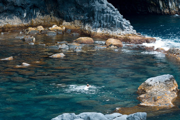 rocks in the sea