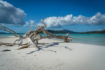 Wall Mural - the white beach of the Whitsunday Islands in Australia, which consists of 99 percent quartz sand, and the azure blue sea