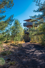  Lookout tower in moorland. Sunny day. Soumarské rašeliniště (peatbog) near Vimperk, Czech Republic