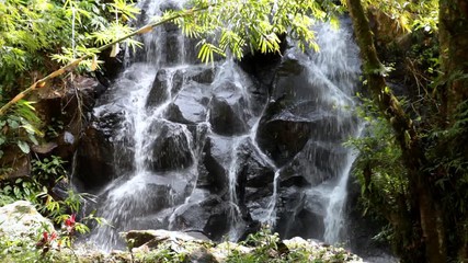 Wall Mural - tropical cascade waterfall in bali in lush tranquil jungle 