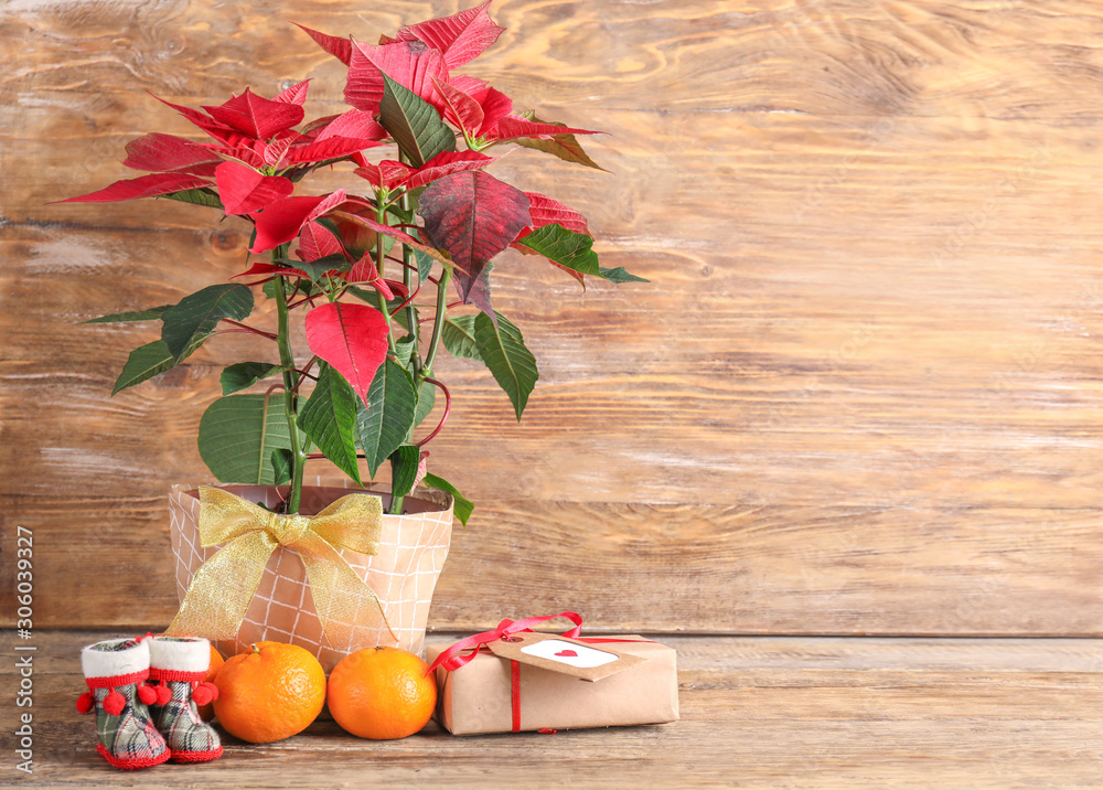 Christmas flower poinsettia on wooden table