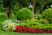 Landscape Design Flowerbed With Red Flowers And Green Bushes With Trees In The Summer Garden.