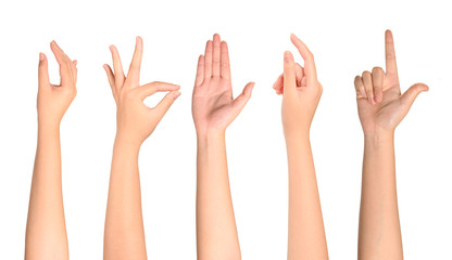 Set of woman hands isolated on white background.