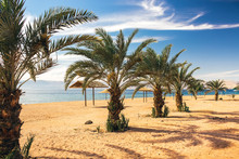 Gulf Of Aqaba Jordan Sand Palm Beach Idyllic Scenic Landscape Beautiful Summer Time Vacation Destination Place 