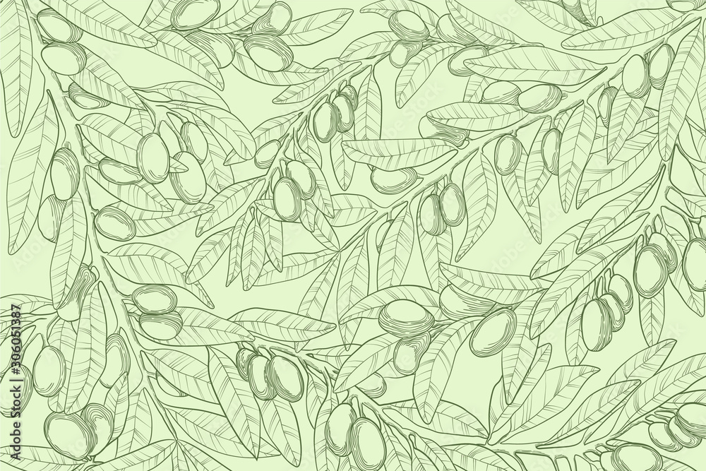 Horizontal vector hand drawn background with olive branch, berry and ...