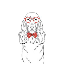 English Cocker Spaniel Breed Dog Wear Red Glasses, Tie Bow Isolated On White Background Symmetrical Pet Portrait. Realistic Hand Drawn Vector Illustration.