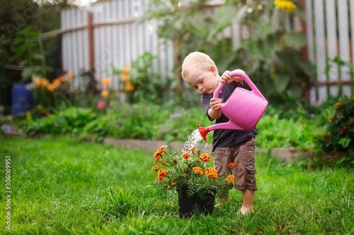 Zdjęcie: Child boy watering flowers in garden from can Child boy watering flowers in garden from can