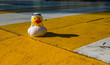 © Joerg - rubber duck in Arabian cloth, dish dash, on a street crossing with a shadow